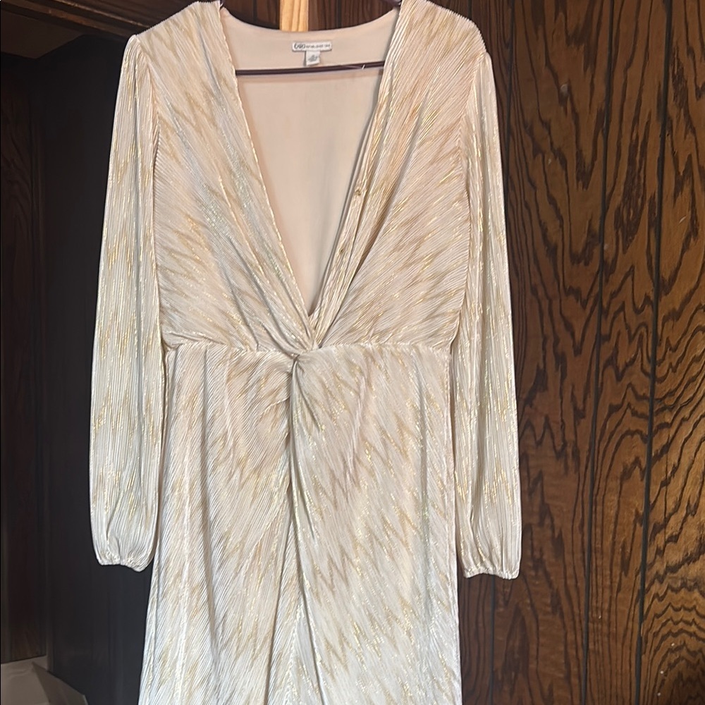 Elegant Cream and Gold Long Sleeve Dress